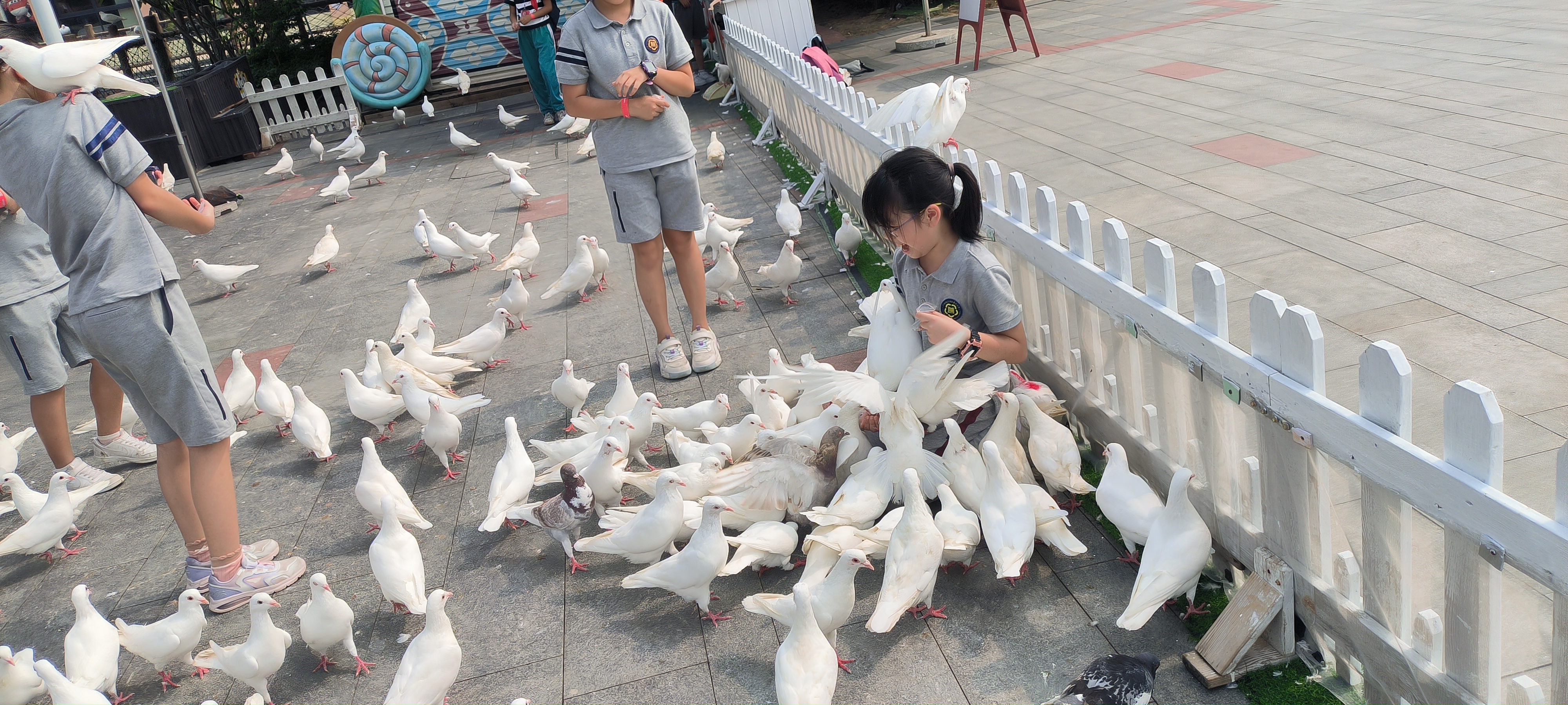 易彩堂(中国区)官方网站入口